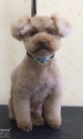 20150221choco.JPG