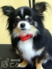 20120211coco