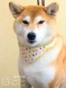 20120217chiro