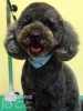 20120519coco