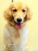20120525coco